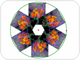 geometer geometer